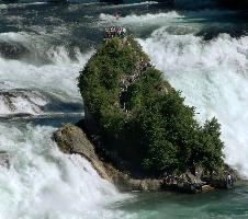 Rheinfall, Tourist Enclosure, island, wild, swiss, foliage, water, rhine, islands, waterfall, steadfast, rheinfall, vegetation, river, summer, schaffhausen, laufen, green, rhein, isolated, white, deck, look-out, tourists, solid, switzerland, visitors, falls, current, torrent, observation, outlook