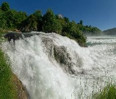 Rheinfall bei Schaffhausen, rhine, river, switzerland, rhein, islands, waterfall, scenery, rheinfall, white, schaffhausen, schlössli, falls, green, torrent, cascade, schloss, schloessli, summer, swiss, water, laufen, current, power, island