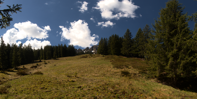 Meadow on Schoenhalden, Sankt Gallen, schönhalden
