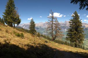 View from Schoenhalden, Sankt Gallen, schönhalden