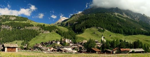 Spluegen, alps, swiss, walking, mountains, spluegen, viamala, graubuenden, summer, graubünden, hiking, grisons, sunlight, schweiz, agriculture, sunshine, village, lush, rural, green, resort, tourism, outdoors, switzerland, alpine, flowers, meadow, farming, grazing