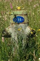 Hydrant 35, spluegen, rural, swiss, mountains, hydrant, alpine, graubuenden, grass, schweiz, fire, graubünden, meadow, 35, service, emergency, grisons, switzerland, metal, summer, supply, water