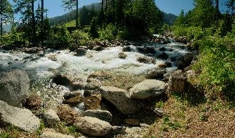 Rapids in Spluegen, alps, outdoors, swiss, walking, alpine, lush, graubuenden, river, cottage, water, graubünden, hiking, grisons, clear, schweiz, path, running, mountains, cascade, rural, torrent, viamala, woods, flowing, switzerland, green, spluegen, stream, village, hinterrhein, rhine