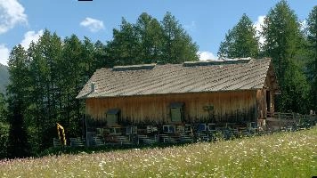 Spluegen, alps, switzerland, sunshine, spluegen, flowers, agricultural, meadow, spring, graubünden, swiss, daylight, schweiz, barn, sunny, mountains, blooming, grisons, hay, field, working, summer, alpine, graubuenden, building, rural, grazing, pasture