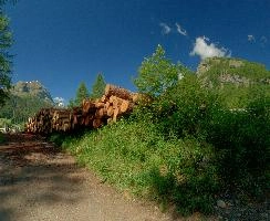 Logs, spluegen, switzerland, alpine, logs, summer, woods, hiking, graubuenden, swiss, sunshine, schweiz, clouds, sunny, path, walking, grisons, outdoors, blue, sky, lamdscape, mountains, graubünden, alps, rural, lush, green