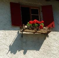Geraniums in Spluegen, spluegen, switzerland, graubünden, wooden, cottage, alps, box, graubuenden, swiss, schweiz, house, shadow, alpine, wall, grisons, window, exterior, building, flowers, mountains, shutters, geraniums, rural, rendered, white