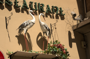 Restaurant sign with Sotks in Strasbourg, Aslace, Strasbourg