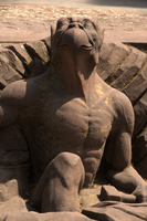 Griffin sunbathing in Strasbourg, Alsace, Strasbourg