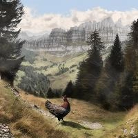 Capercaillie by Midjourney, null