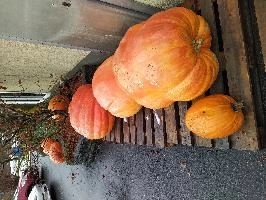 IMG_20211204_113125.jpg