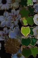 Artisanal fashion jewellery in Florence, Tuscany, leaf, fashion, gold, beautiful, gold-leaf, closeup, montespertoli, shimmer, dörthe, jewellery, lütkemeyer, decoration, flowers, tuscan, artisanal, shapes, tuscany, ornamentation, macro, italian, hand-made, glitter, italy, speciality, design