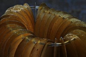 Hand-made gold-leaf jewellery in Florence, Tuscany, leaf, closeup, gold-leaf, macro, gold, discs, lütkemeyer, bracelet, dörthe, decoration, montespertoli, ornamentation, design, tuscan, jewellery, fashion, tuscany, speciality, beautiful, italian, artisanal, glitter, italy, hand-made, shimmer