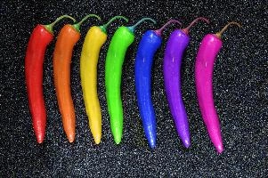 Schofield Scale, rendered in multicoloured chillies,  chilli of many colours,  chilli pepper in all the colours of the rainbow