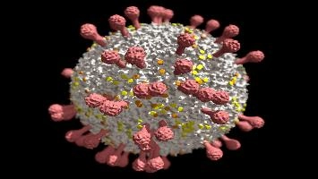 3D rendering of speculative Coronavirus form on dark background, covid-19, life-form, virus, covid, life, spiky, coronavirus, isolated, rendering, black, illustration, red, ball, globular, ray-tracing, background, floating, primitive, artificial, exotic, pathogen, antigen, evolution, nature, 3d rendering, environment, microscopic, dark background, 3d illustration, disease, microbe, white