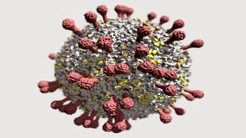 3D rendering of speculative Coronavirus form on light background, covid-19, life-form, virus, covid, life, spiky, coronavirus, isolated, rendering, black, illustration, red, ball, globular, ray-tracing, background, floating, primitive, artificial, exotic, pathogen, antigen, evolution, nature, 3d rendering, environment, microscopic, white background, 3d illustration, disease, microbe, white