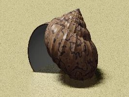 webflat3_4.jpg