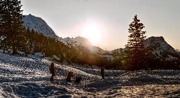 Evening light on snow in the Alps, null