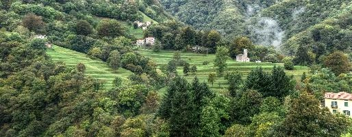 Hillside in Ticino, ticino