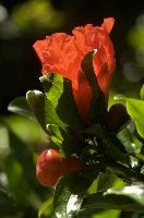 dsd_011964.jpg
