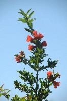 dsd_012030.jpg