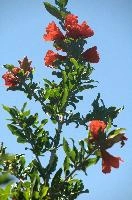 dsd_012032.jpg