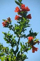 dsd_012033.jpg