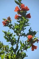 dsd_012034.jpg