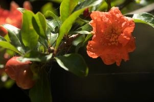 dsd_012038.jpg