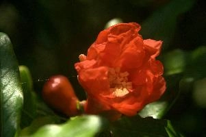dsd_012048.jpg