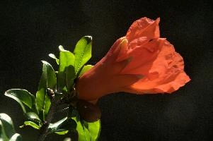dsd_012062.jpg