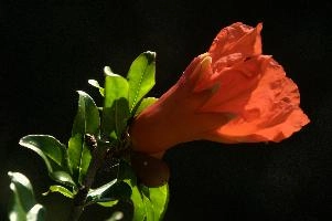 dsd_012063.jpg