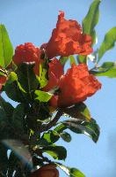 dsd_012072.jpg