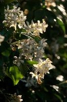 dsd_012120.jpg