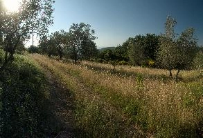dsd_012146-dsd_012160.jpg