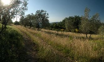 dsd_012148-dsd_012147.jpg