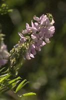 dsd_012164.jpg