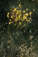 dsd_012182.jpg