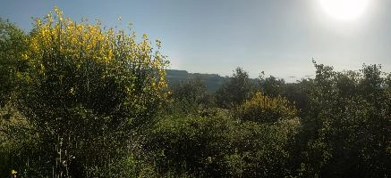 dsd_012272-dsd_012292.jpg