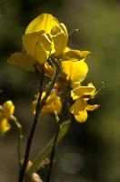 dsd_012330.jpg
