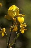 dsd_012331.jpg