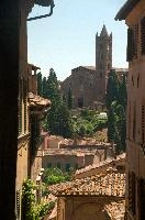dsd_012561.jpg