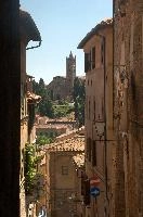 dsd_012563.jpg