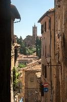 dsd_012565.jpg