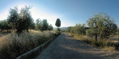 dsd_013169-dsd_013183.jpg