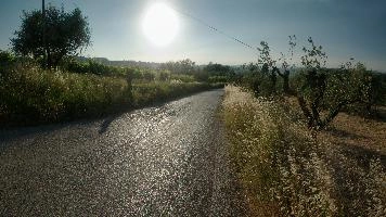 dsd_013211-dsd_013225.jpg