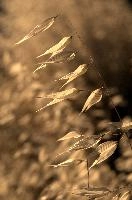 dsd_013566.jpg