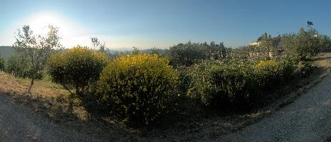 dsd_013592-dsd_013612.jpg