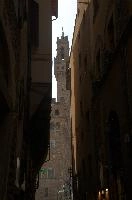 dsd_014817.jpg