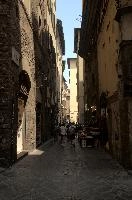 dsd_014825.jpg