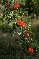 dsd_015336.jpg